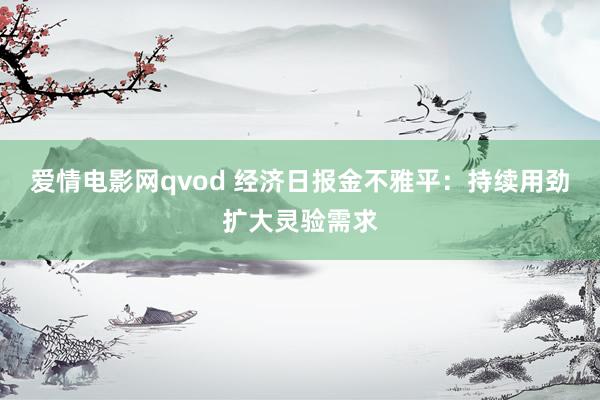 爱情电影网qvod 经济日报金不雅平：持续用劲扩大灵验需求