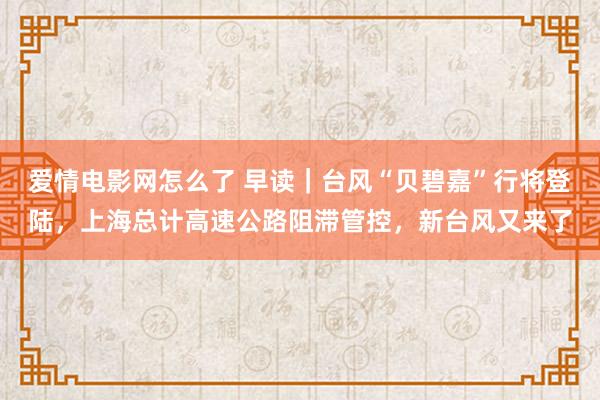 爱情电影网怎么了 早读｜台风“贝碧嘉”行将登陆，上海总计高速公路阻滞管控，新台风又来了