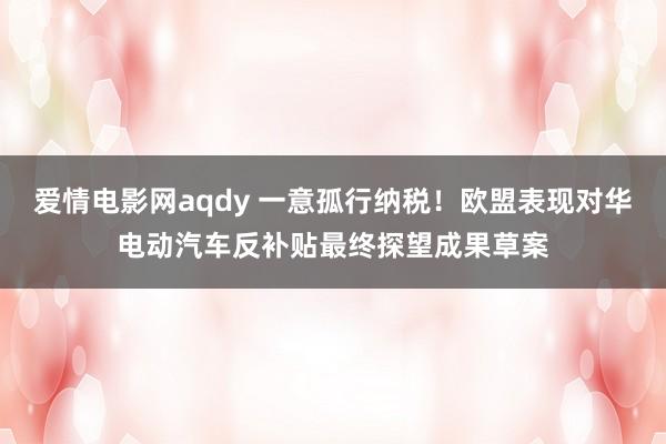 爱情电影网aqdy 一意孤行纳税！欧盟表现对华电动汽车反补贴最终探望成果草案
