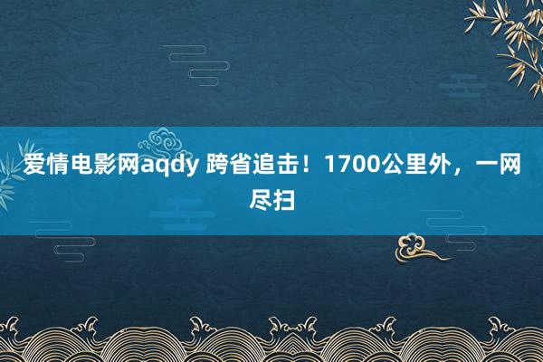 爱情电影网aqdy 跨省追击！1700公里外，一网尽扫