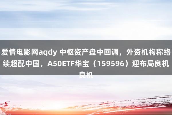 爱情电影网aqdy 中枢资产盘中回调，外资机构称络续超配中国，A50ETF华宝（159596）迎布局良机