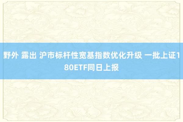 野外 露出 沪市标杆性宽基指数优化升级 一批上证180ETF同日上报