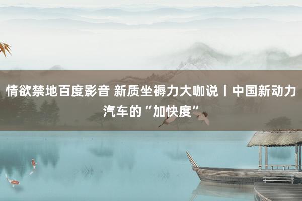 情欲禁地百度影音 新质坐褥力大咖说丨中国新动力汽车的“加快度”
