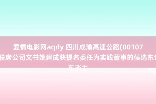 爱情电影网aqdy 四川成渝高速公路(00107)：联席公司文书姚建成获提名委任为实践董事的候选东谈主