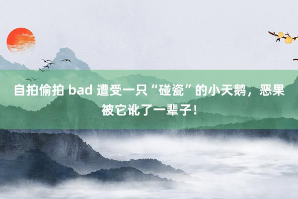 自拍偷拍 bad 遭受一只“碰瓷”的小天鹅，恶果被它讹了一辈子！
