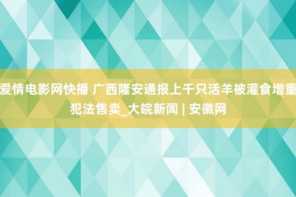 爱情电影网快播 广西隆安通报上千只活羊被灌食增重犯法售卖_大皖新闻 | 安徽网