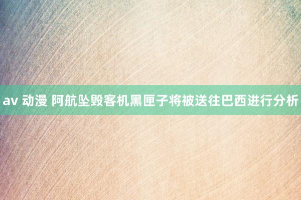 av 动漫 阿航坠毁客机黑匣子将被送往巴西进行分析