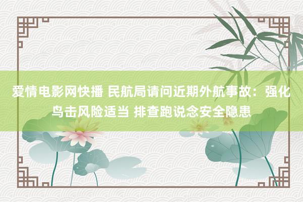 爱情电影网快播 民航局请问近期外航事故：强化鸟击风险适当 排查跑说念安全隐患