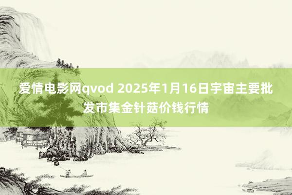 爱情电影网qvod 2025年1月16日宇宙主要批发市集金针菇价钱行情