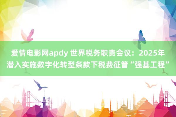 爱情电影网apdy 世界税务职责会议：2025年潜入实施数字化转型条款下税费征管“强基工程”
