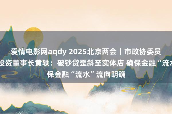 爱情电影网aqdy 2025北京两会｜市政协委员、好意思臣投资董事长黄轶：破钞贷歪斜至实体店 确保金融“流水”流向明确