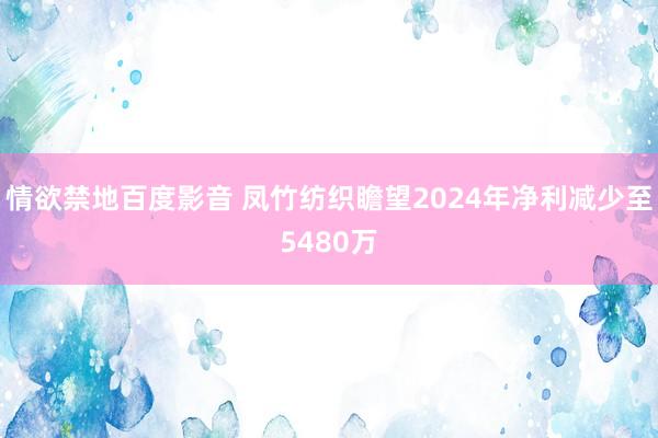 情欲禁地百度影音 凤竹纺织瞻望2024年净利减少至5480万