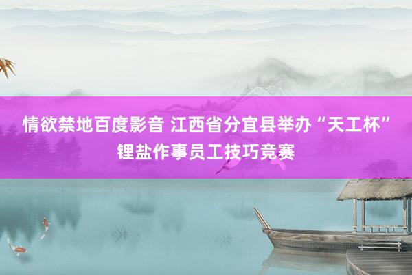 情欲禁地百度影音 江西省分宜县举办“天工杯”锂盐作事员工技巧竞赛