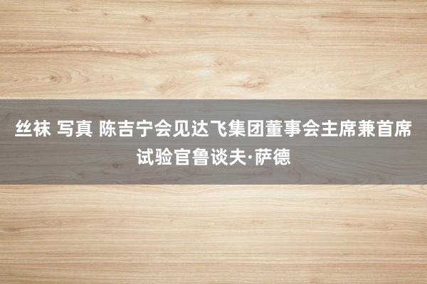 丝袜 写真 陈吉宁会见达飞集团董事会主席兼首席试验官鲁谈夫·萨德