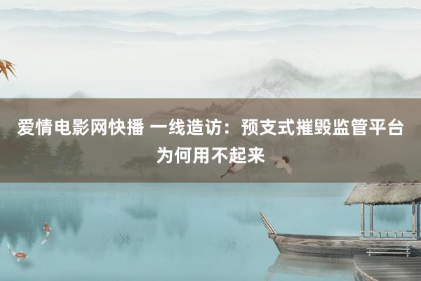 爱情电影网快播 一线造访：预支式摧毁监管平台为何用不起来