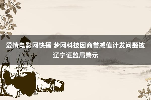 爱情电影网快播 梦网科技因商誉减值计发问题被辽宁证监局警示