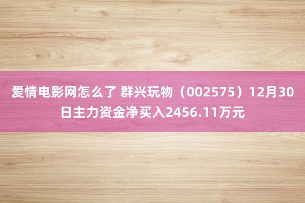 爱情电影网怎么了 群兴玩物（002575）12月30日主力资金净买入2456.11万元