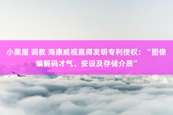 小黑屋 调教 海康威视赢得发明专利授权：“图像编解码才气、安设及存储介质”
