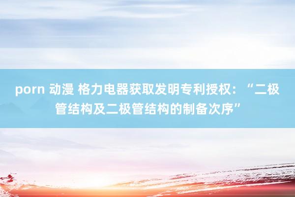 porn 动漫 格力电器获取发明专利授权：“二极管结构及二极管结构的制备次序”