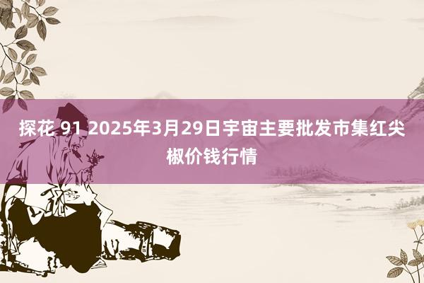 探花 91 2025年3月29日宇宙主要批发市集红尖椒价钱行情