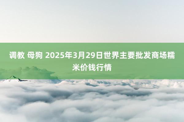 调教 母狗 2025年3月29日世界主要批发商场糯米价钱行情