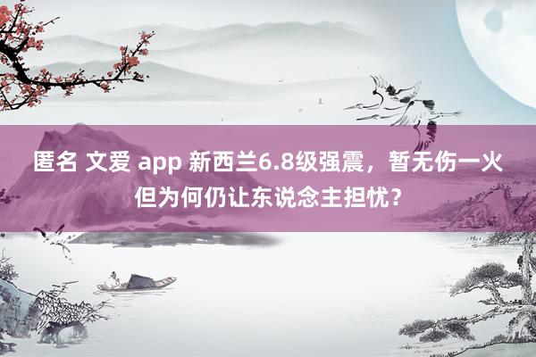 匿名 文爱 app 新西兰6.8级强震，暂无伤一火但为何仍让东说念主担忧？