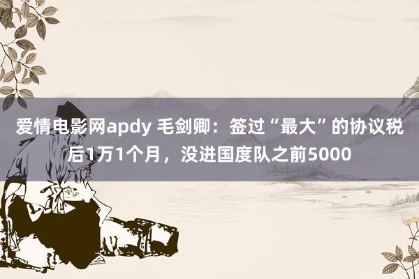 爱情电影网apdy 毛剑卿：签过“最大”的协议税后1万1个月，没进国度队之前5000