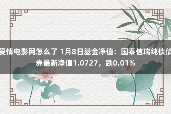 爱情电影网怎么了 1月8日基金净值：国泰信瑞纯债债券最新净值1.0727，跌0.01%