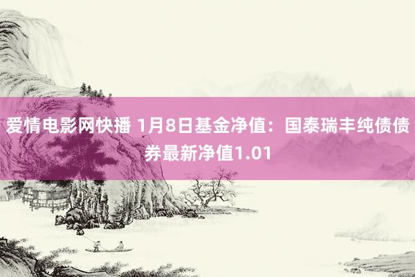 爱情电影网快播 1月8日基金净值：国泰瑞丰纯债债券最新净值1.01