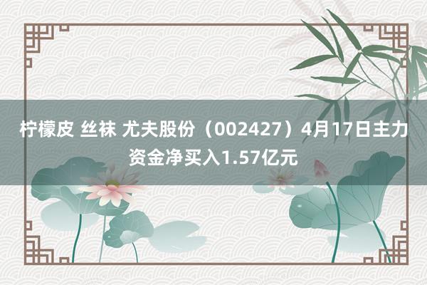 柠檬皮 丝袜 尤夫股份（002427）4月17日主力资金净买入1.57亿元