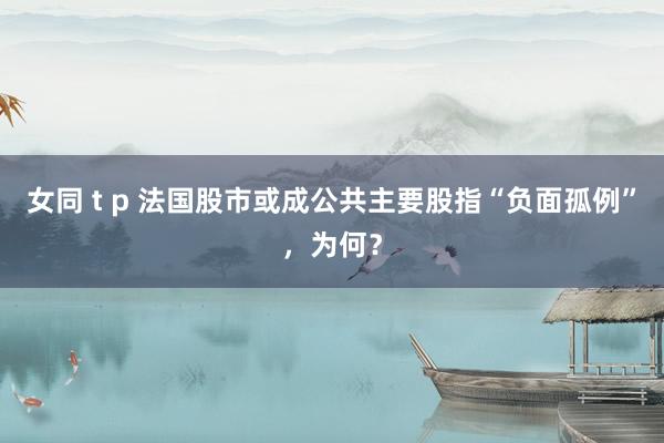 女同 t p 法国股市或成公共主要股指“负面孤例”，为何？