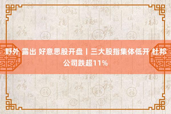 野外 露出 好意思股开盘丨三大股指集体低开 杜邦公司跌超11%