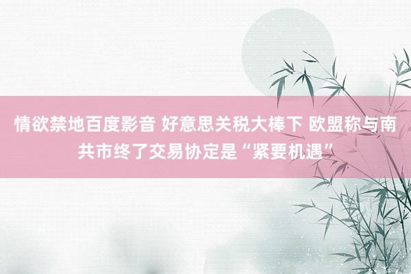 情欲禁地百度影音 好意思关税大棒下 欧盟称与南共市终了交易协定是“紧要机遇”
