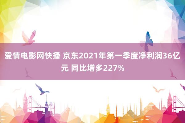 爱情电影网快播 京东2021年第一季度净利润36亿元 同比增多227%